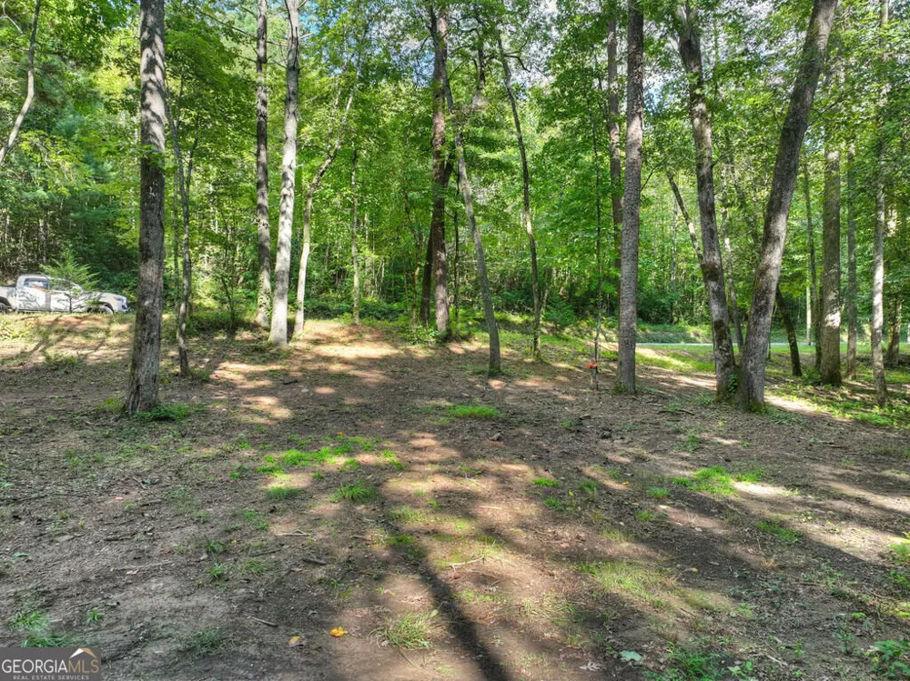 685 Chopped Oak RD Ellijay, GA 30540