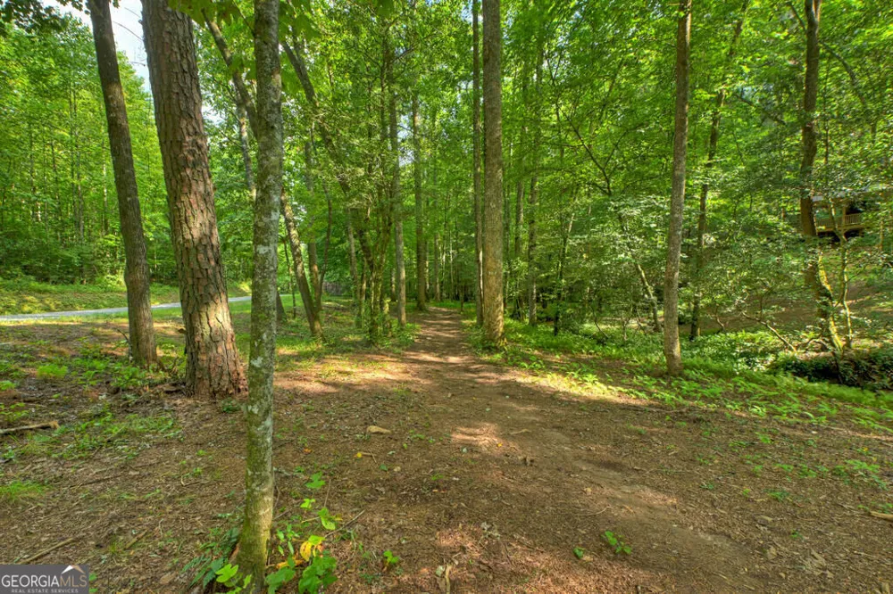 685 Chopped Oak RD Ellijay, GA 30540