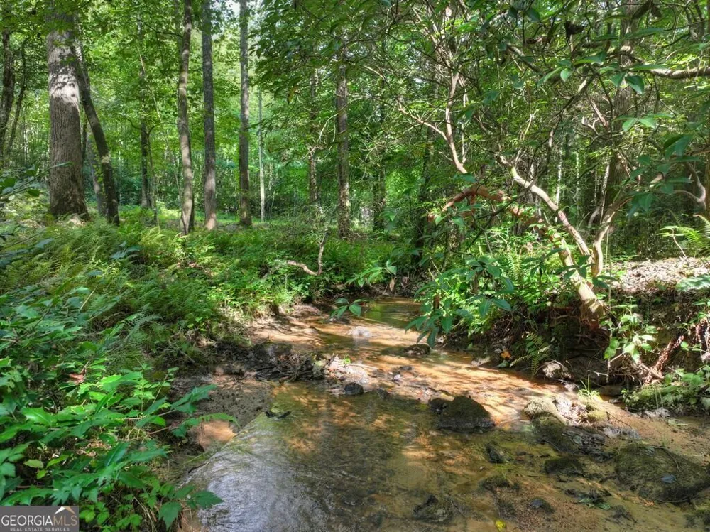 685 Chopped Oak RD Ellijay, GA 30540