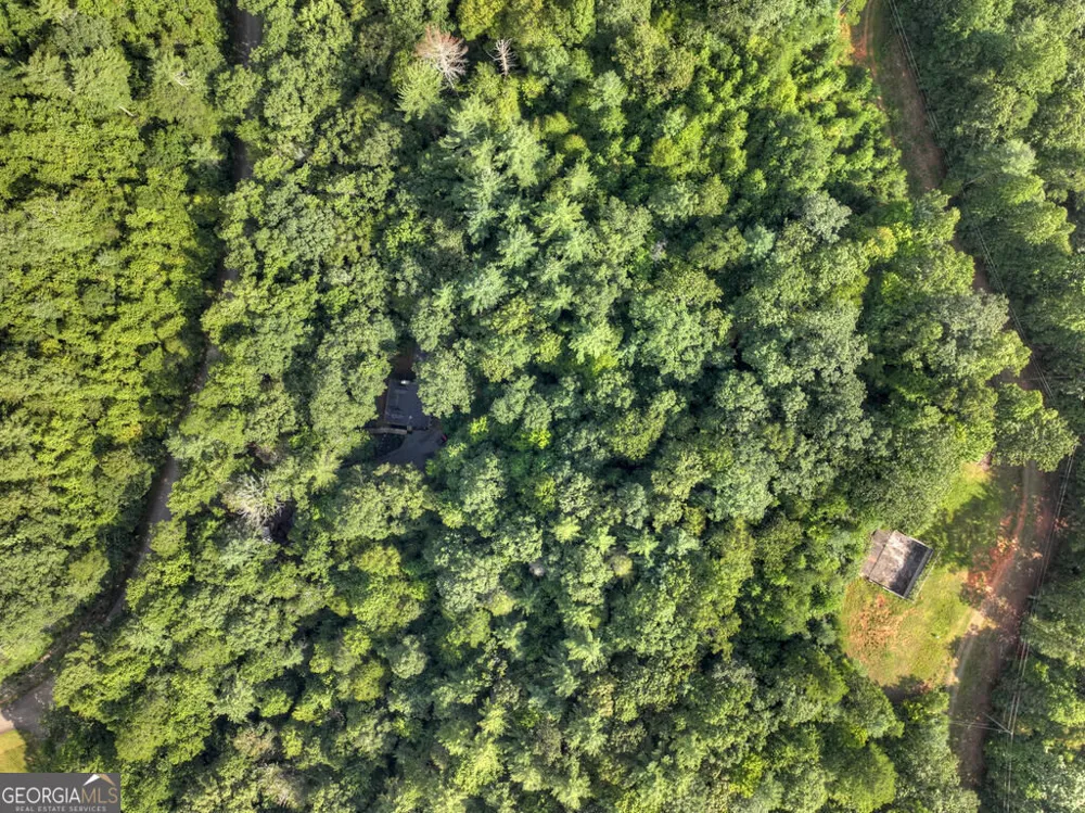 685 Chopped Oak RD Ellijay, GA 30540