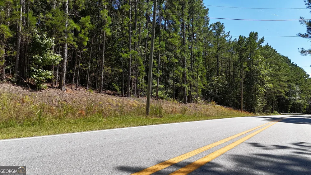 0 Ruckersville Rd CRK Elberton, GA 30635