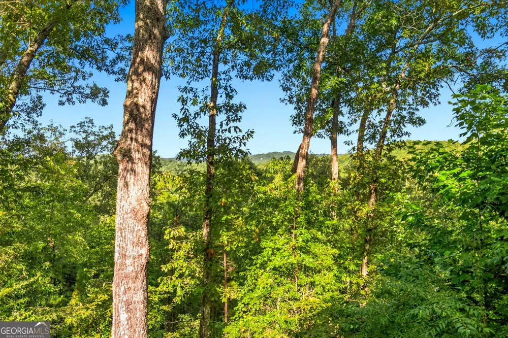 142 Oak Hill DR Mineral Bluff, GA 30559