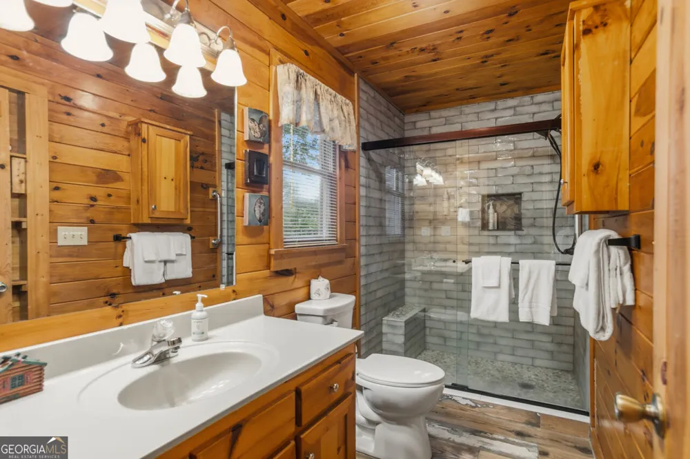 142 Oak Hill DR Mineral Bluff, GA 30559