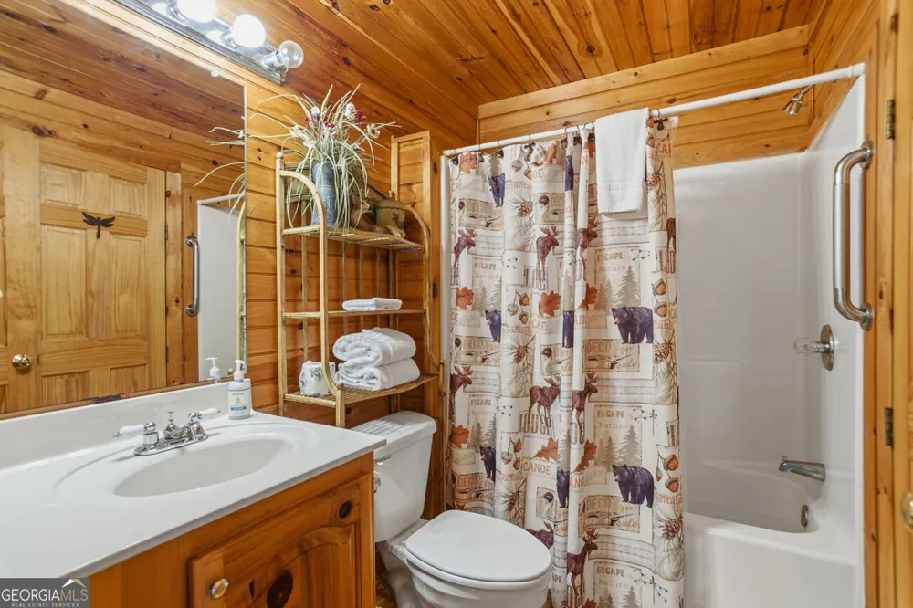 142 Oak Hill DR Mineral Bluff, GA 30559