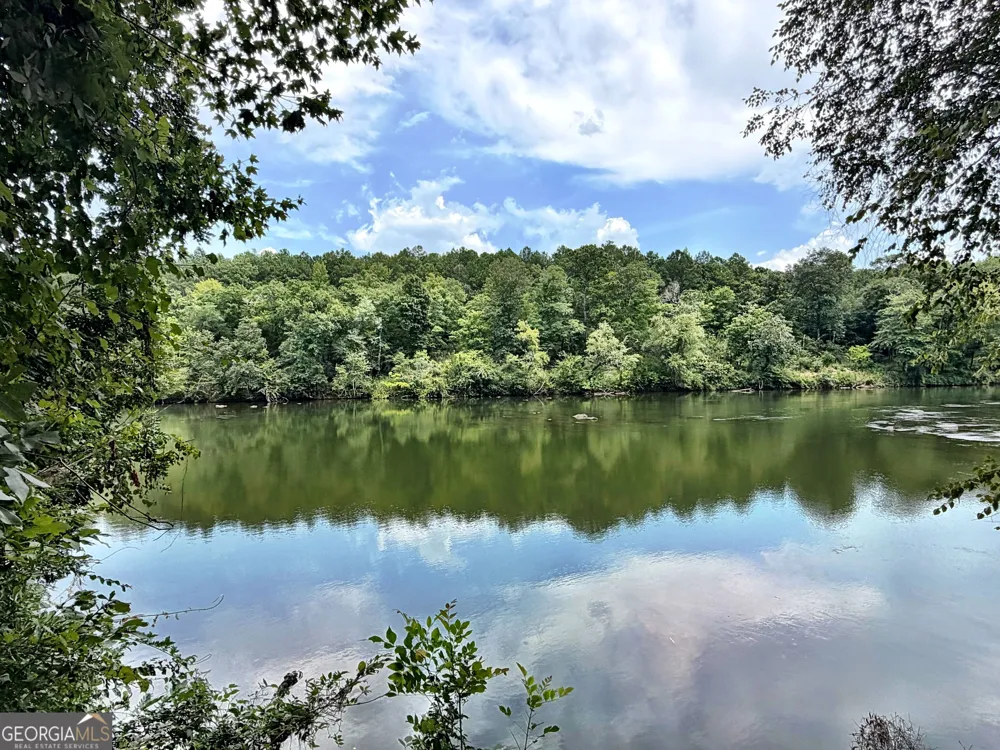 43 Rivermist rd RD Juliette, GA 31046
