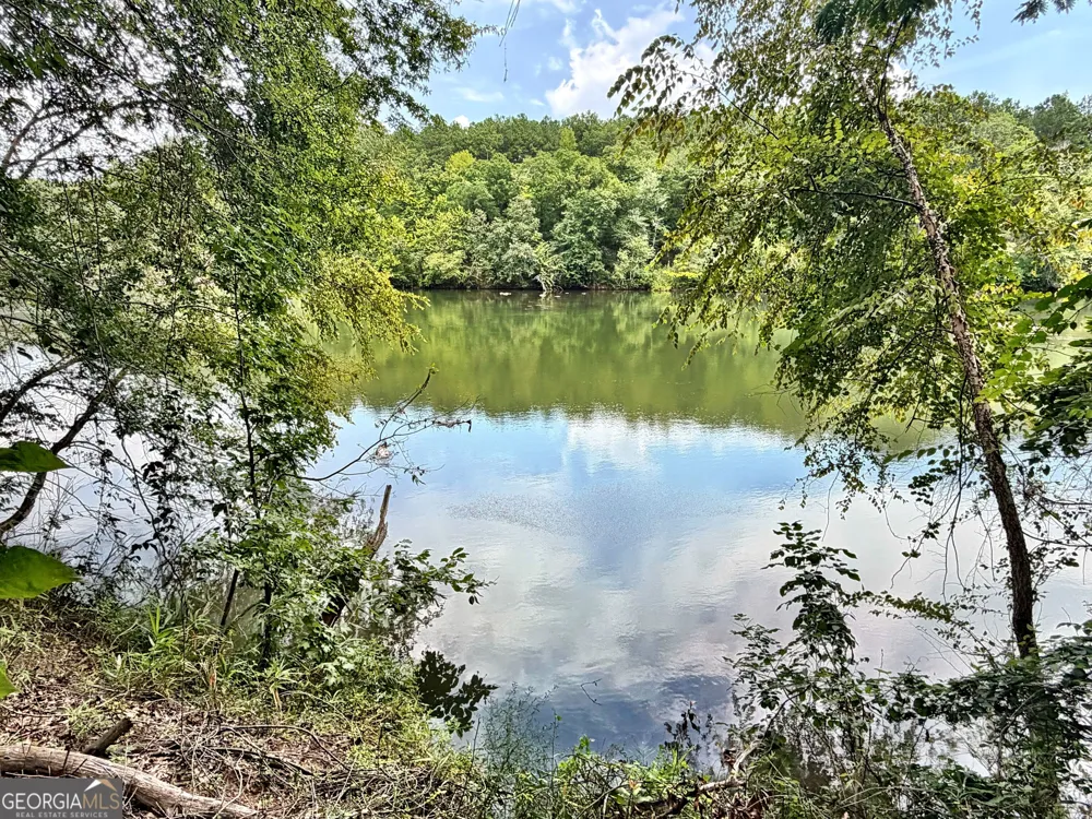 43 Rivermist rd RD Juliette, GA 31046