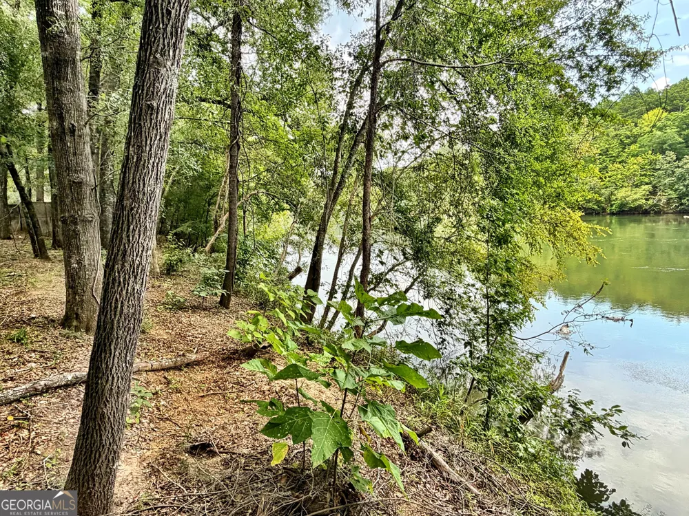 43 Rivermist rd RD Juliette, GA 31046