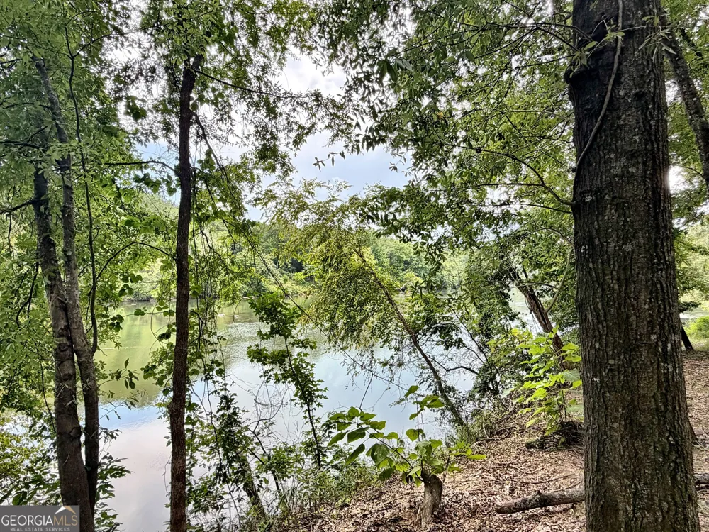 43 Rivermist rd RD Juliette, GA 31046