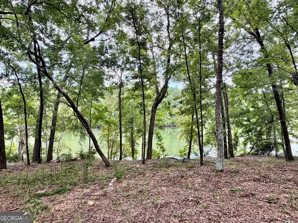 43 Rivermist rd RD Juliette, GA 31046