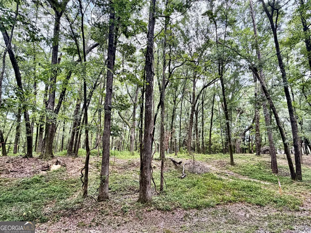 43 Rivermist rd RD Juliette, GA 31046