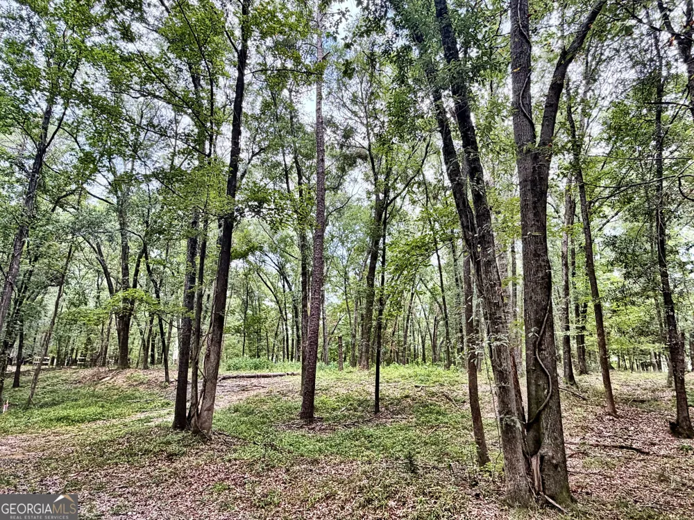 43 Rivermist rd RD Juliette, GA 31046
