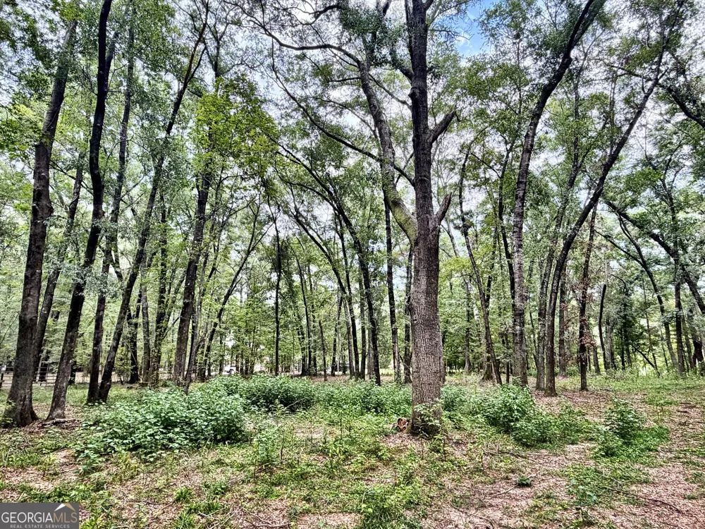 43 Rivermist rd RD Juliette, GA 31046