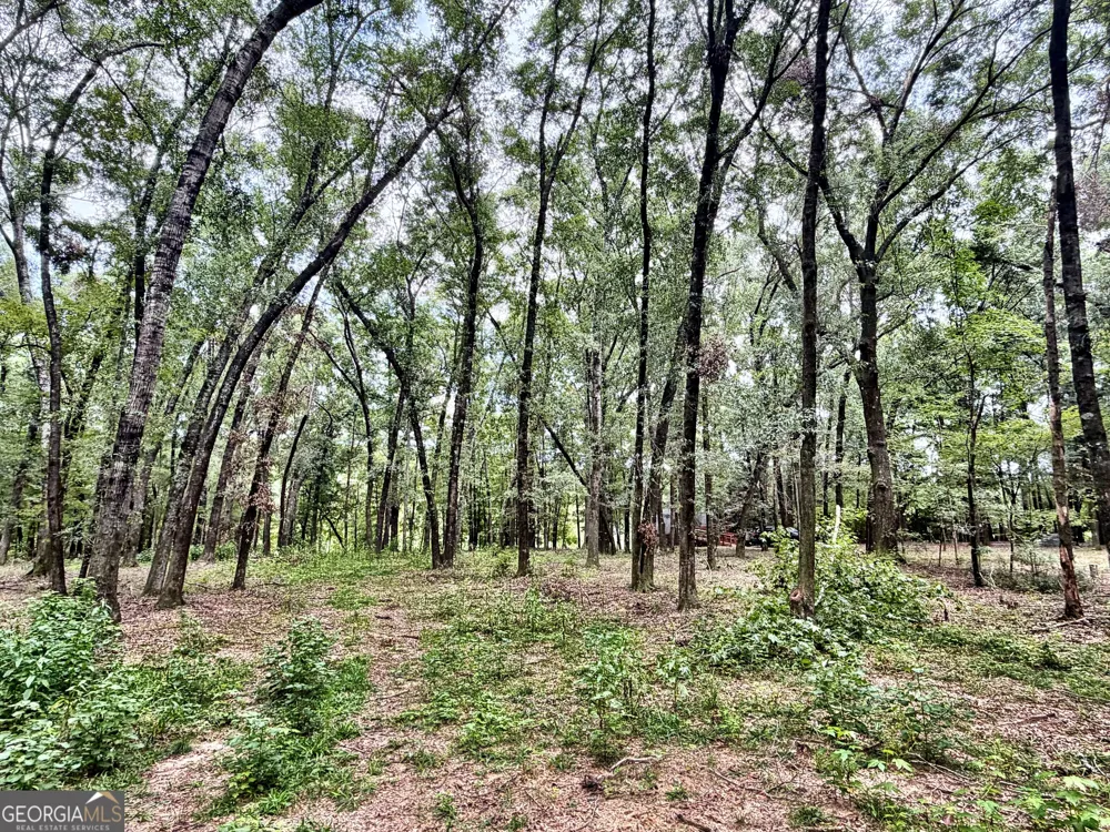 43 Rivermist rd RD Juliette, GA 31046