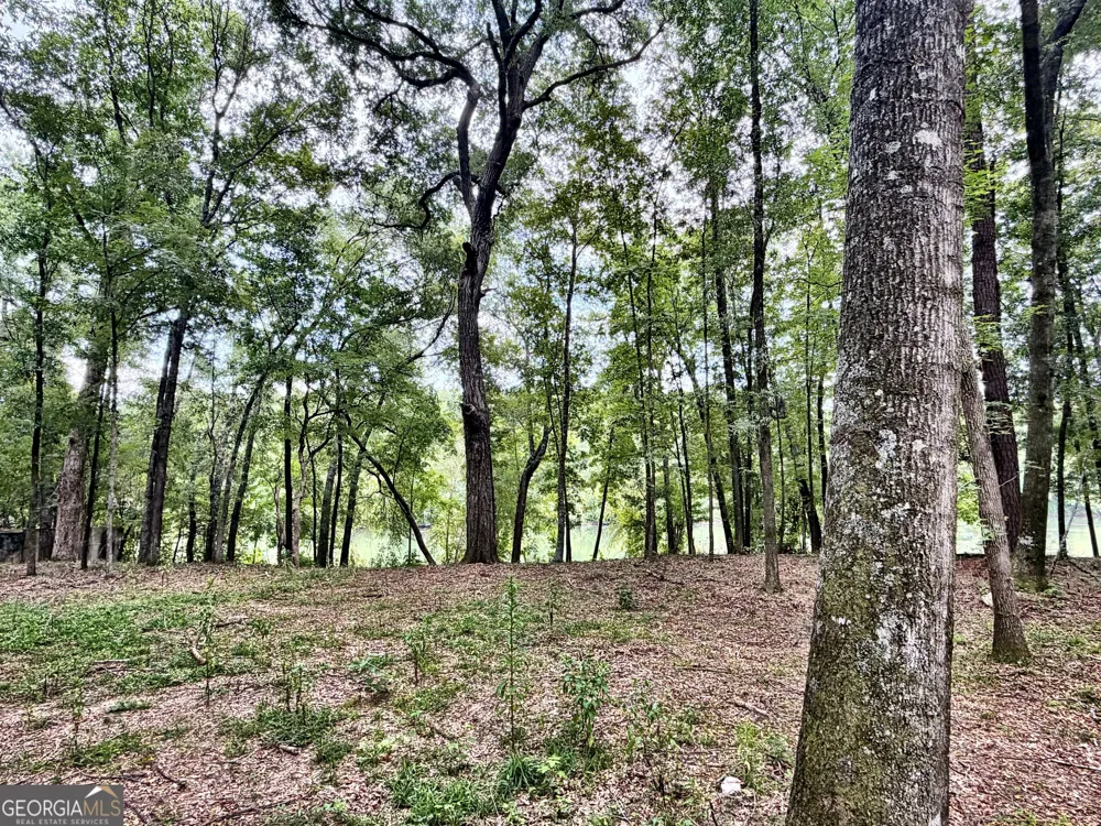 43 Rivermist rd RD Juliette, GA 31046