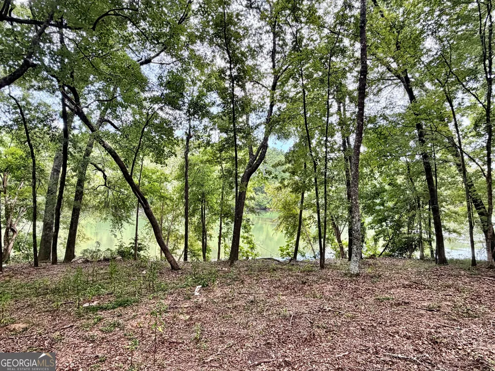 43 Rivermist rd RD Juliette, GA 31046