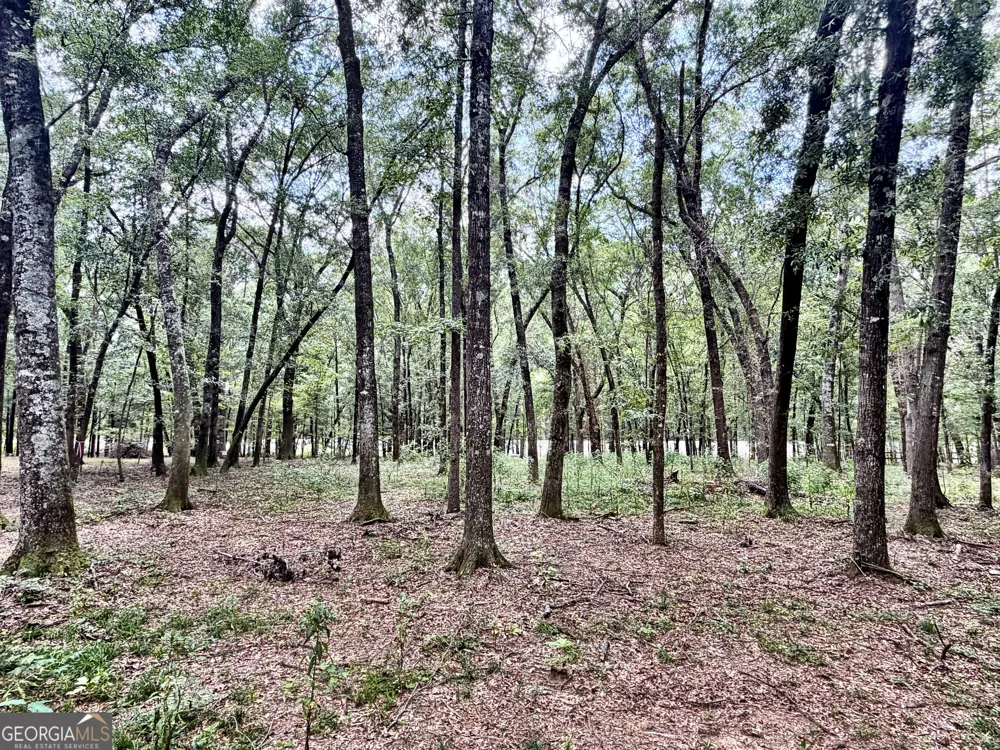 43 Rivermist rd RD Juliette, GA 31046