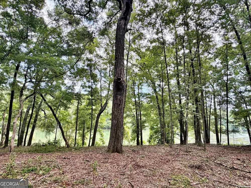 43 Rivermist rd RD Juliette, GA 31046
