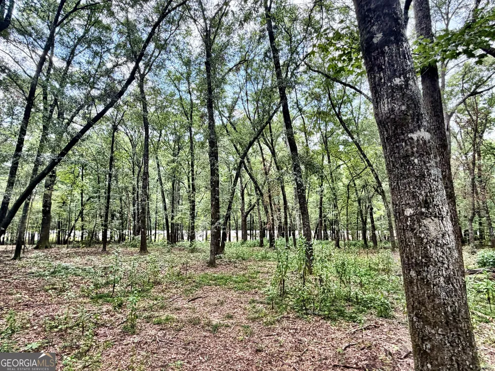 43 Rivermist rd RD Juliette, GA 31046