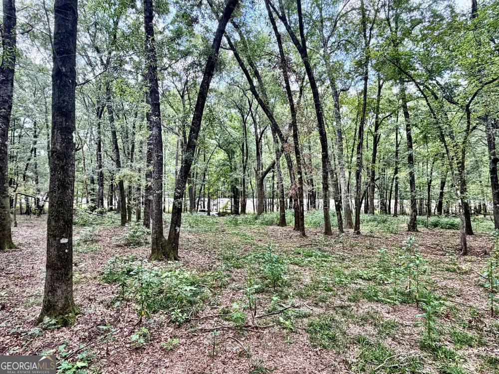 43 Rivermist rd RD Juliette, GA 31046