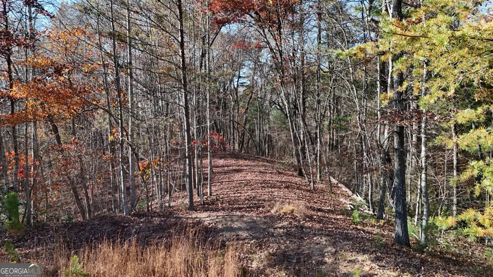 LOT 197 Springwinds DR Cleveland, GA 30528