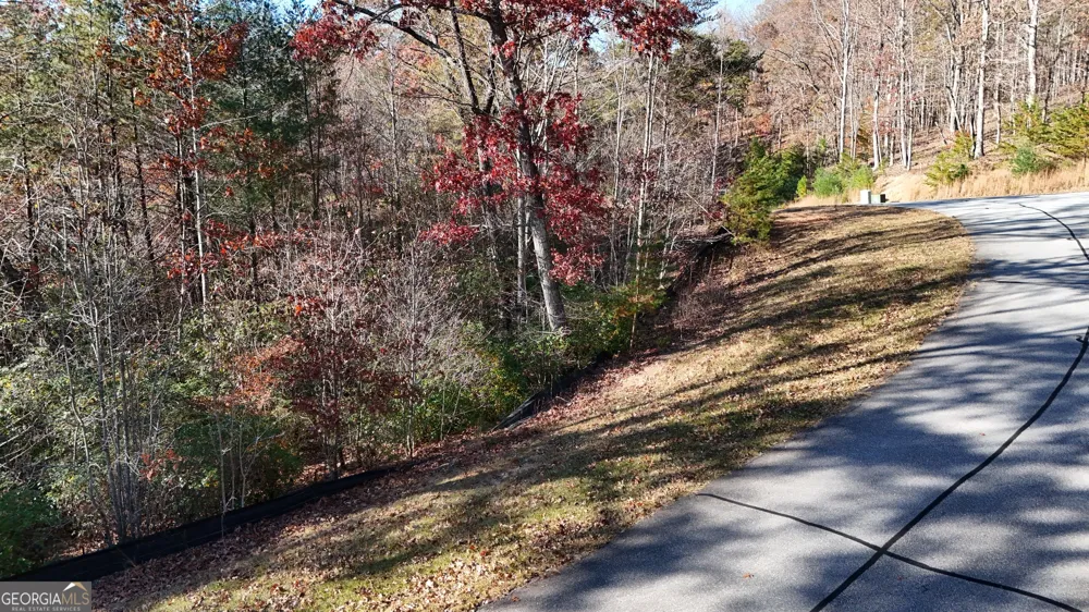 LOT 197 Springwinds DR Cleveland, GA 30528