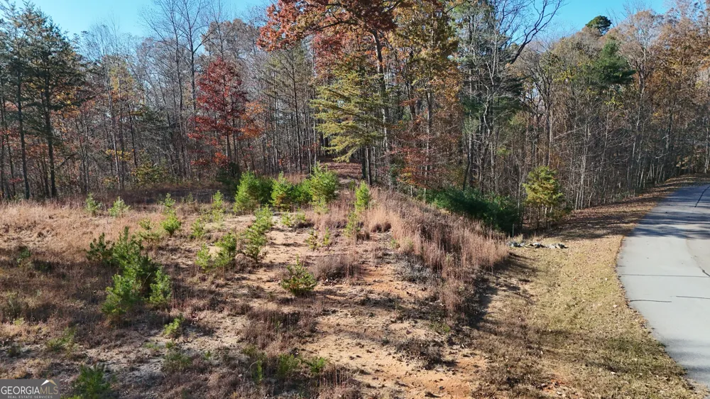 LOT 197 Springwinds DR Cleveland, GA 30528