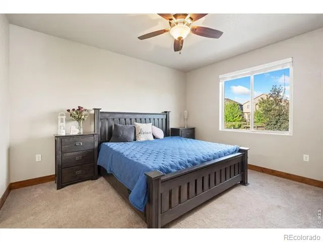4369 Cicely Court Johnstown, CO 80534