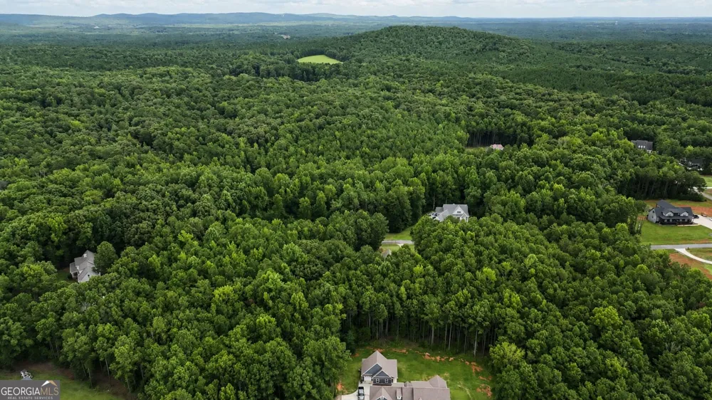 405 Barouche DR Thomaston, GA 30286