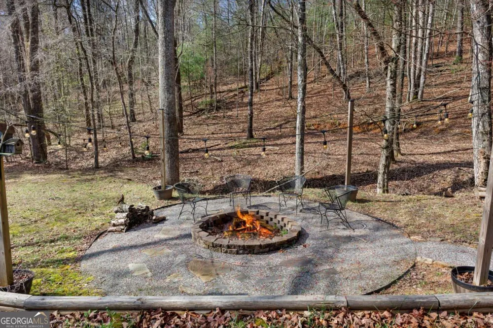 166 Dallas LN Blue Ridge, GA 30513