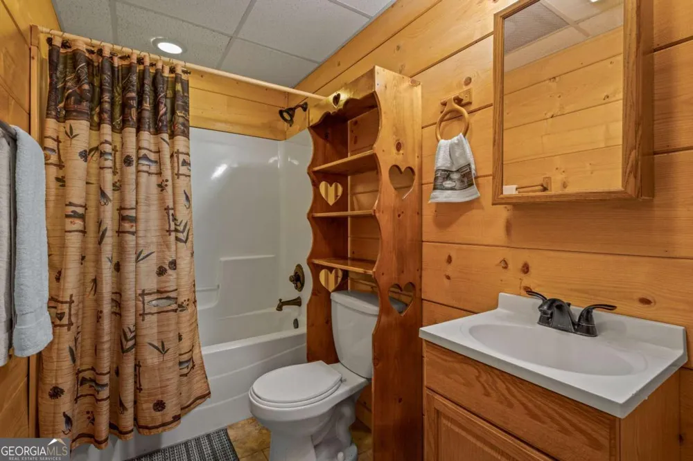 166 Dallas LN Blue Ridge, GA 30513