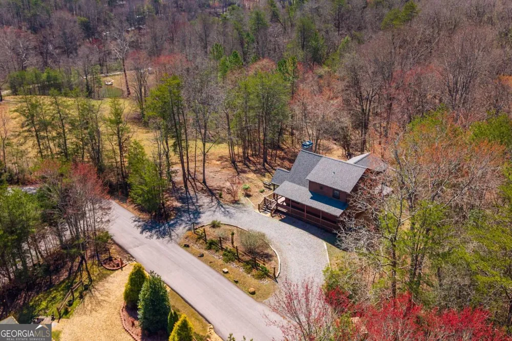 166 Dallas LN Blue Ridge, GA 30513