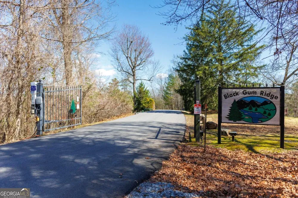 166 Dallas LN Blue Ridge, GA 30513