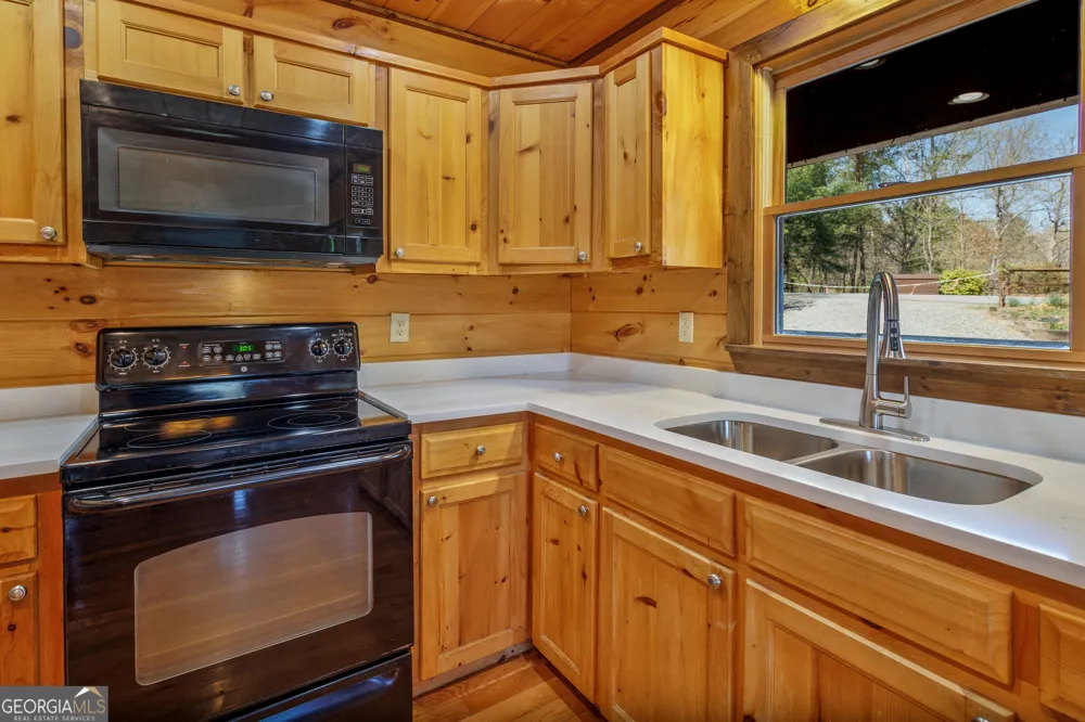 166 Dallas LN Blue Ridge, GA 30513