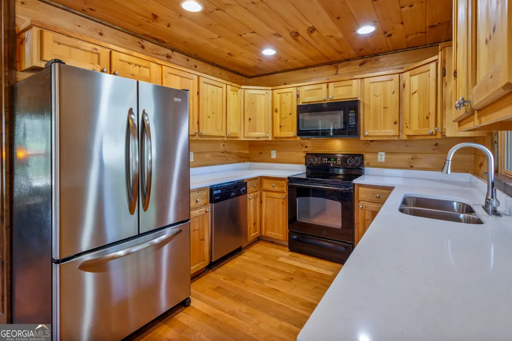 166 Dallas LN Blue Ridge, GA 30513
