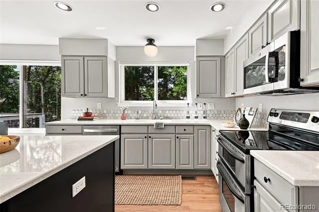 9815 Spring Hill Street Highlands Ranch, CO 80129