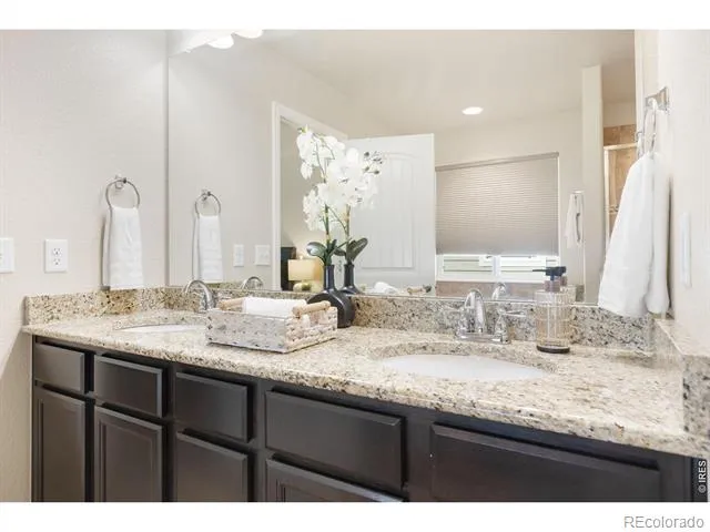 1798 Avery Plaza Street Severance, CO 80550