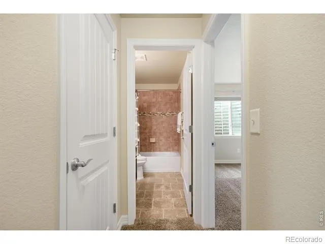 1798 Avery Plaza Street Severance, CO 80550