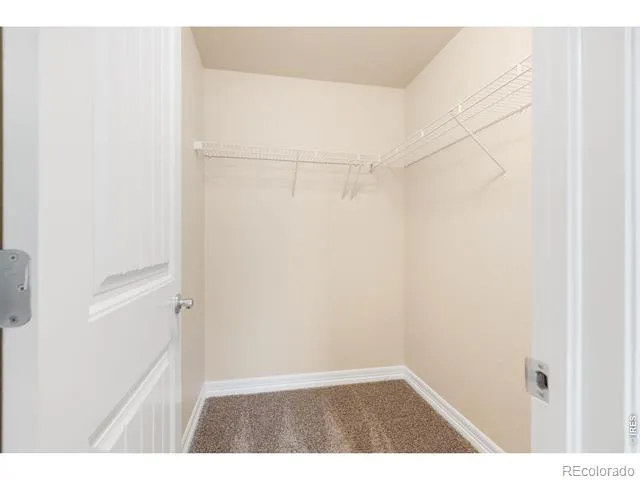 1798 Avery Plaza Street Severance, CO 80550