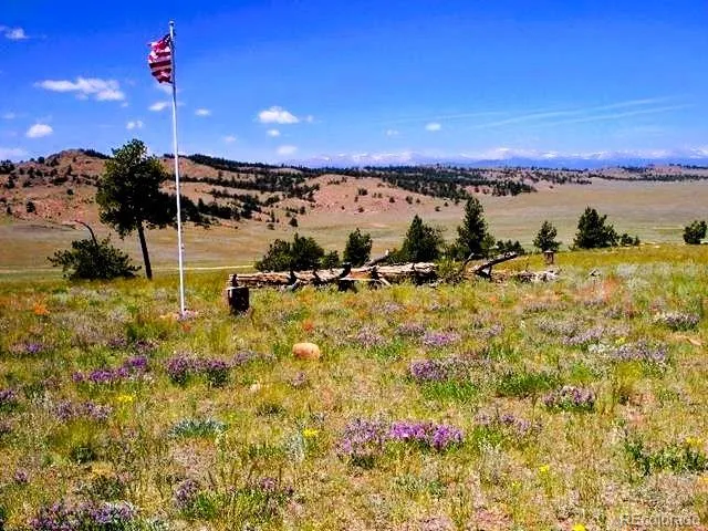 896 Guipago Trail Hartsel, CO 80449