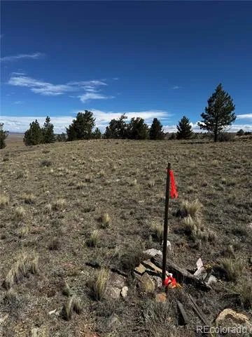 896 Guipago Trail Hartsel, CO 80449