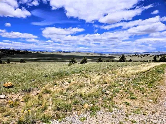 896 Guipago Trail Hartsel, CO 80449