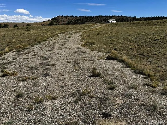 896 Guipago Trail Hartsel, CO 80449