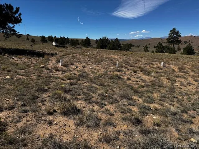 896 Guipago Trail Hartsel, CO 80449