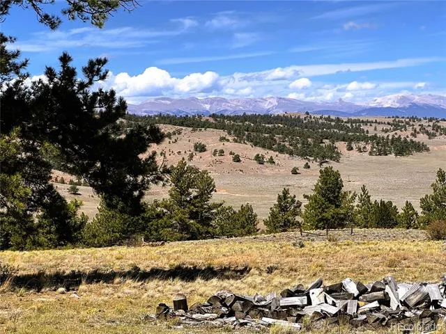 896 Guipago Trail Hartsel, CO 80449