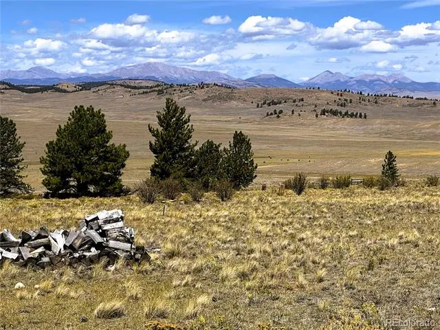896 Guipago Trail Hartsel, CO 80449