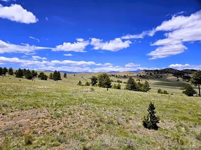 896 Guipago Trail Hartsel, CO 80449