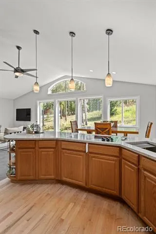 9039 Black Mountain Drive Conifer, CO 80433