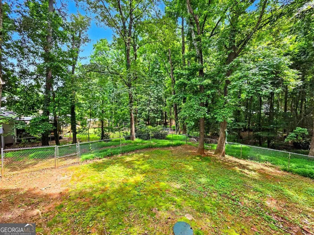 916 Little River LN Woodstock, GA 30189