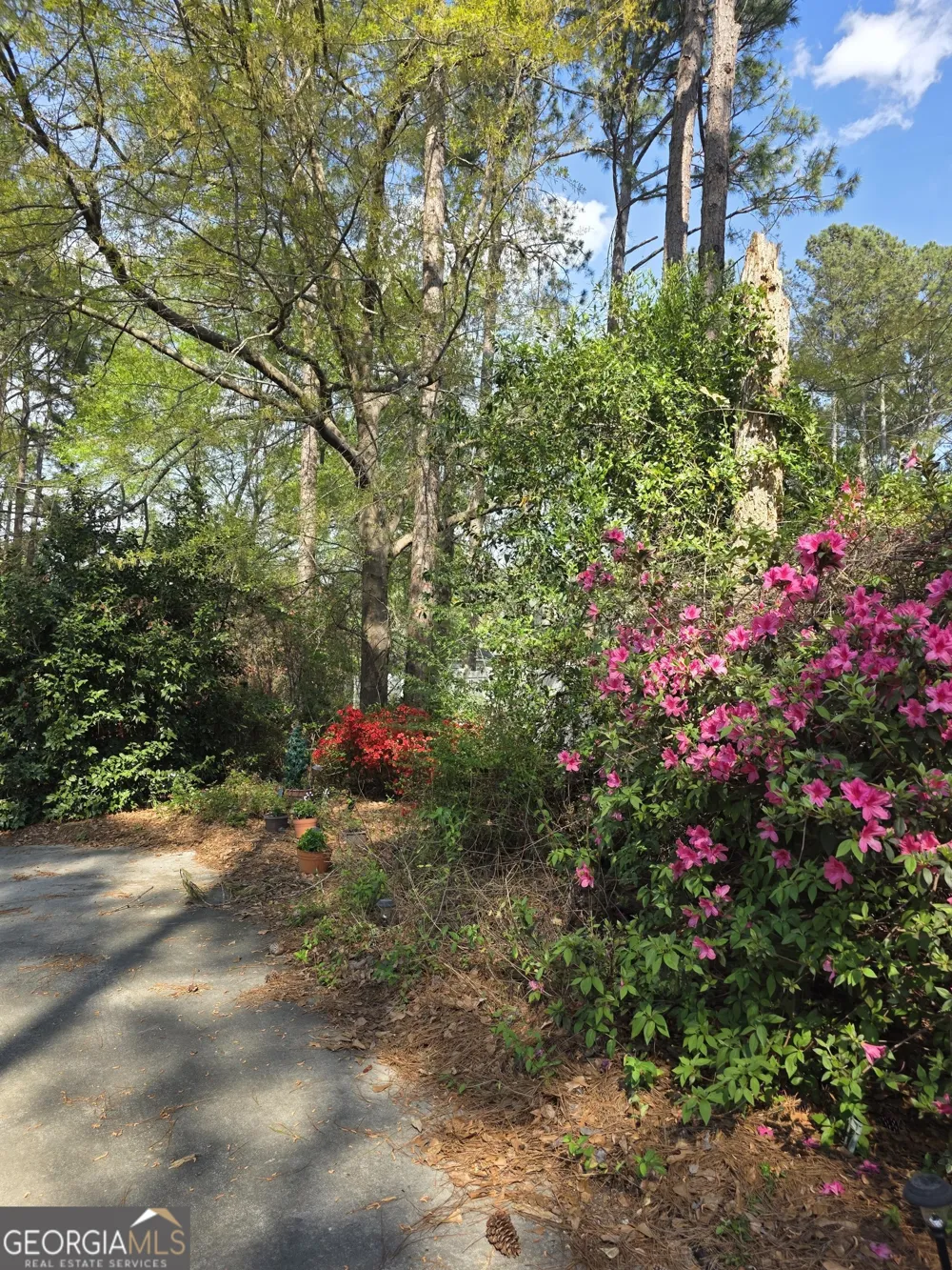 207 Wellington CIR Statesboro, GA 30458