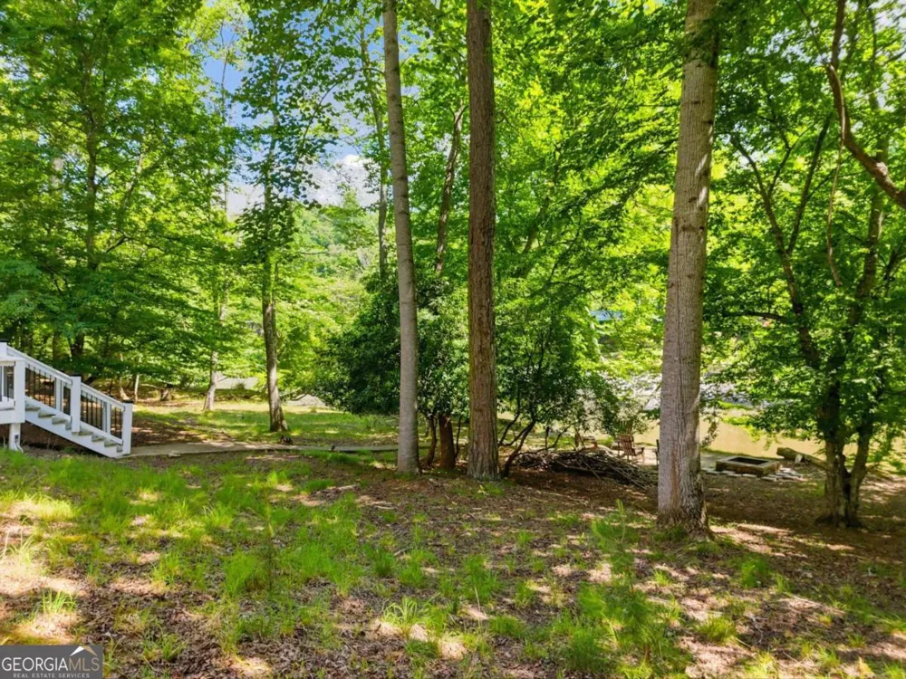 5 W Muller lane Ellijay, GA 30540